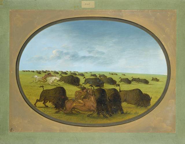 美式牦牛狩猎油画