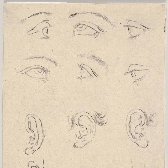 眼睛耳朵和鼻子素描画