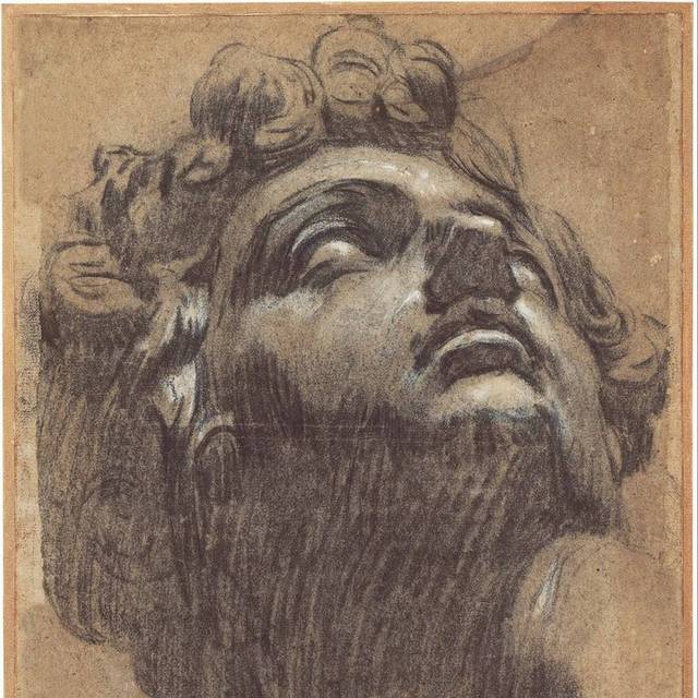 朱利亚诺·德·梅迪奇的头素描画