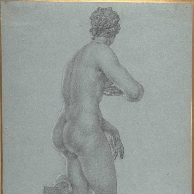 维纳斯的背影素描画