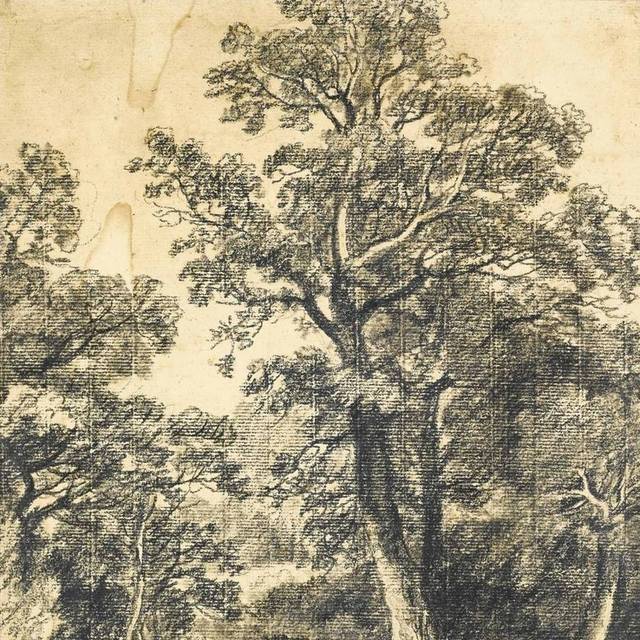 树丛素描装饰画