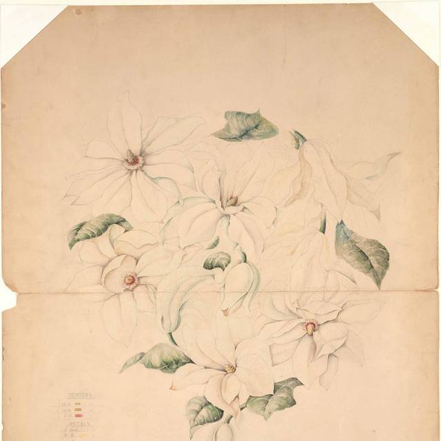 木兰花瓶设计图纸素描画