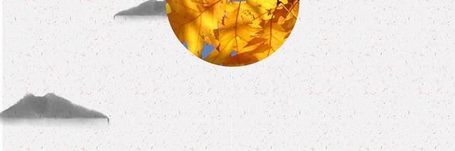 金树叶秋季素材