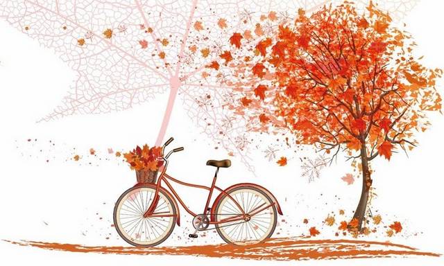 红枫树秋季素材