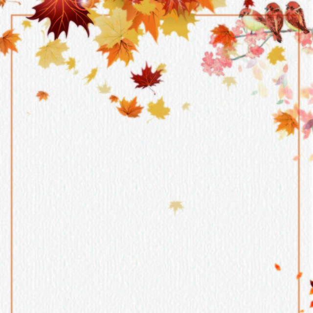 秋天树叶秋季素材1