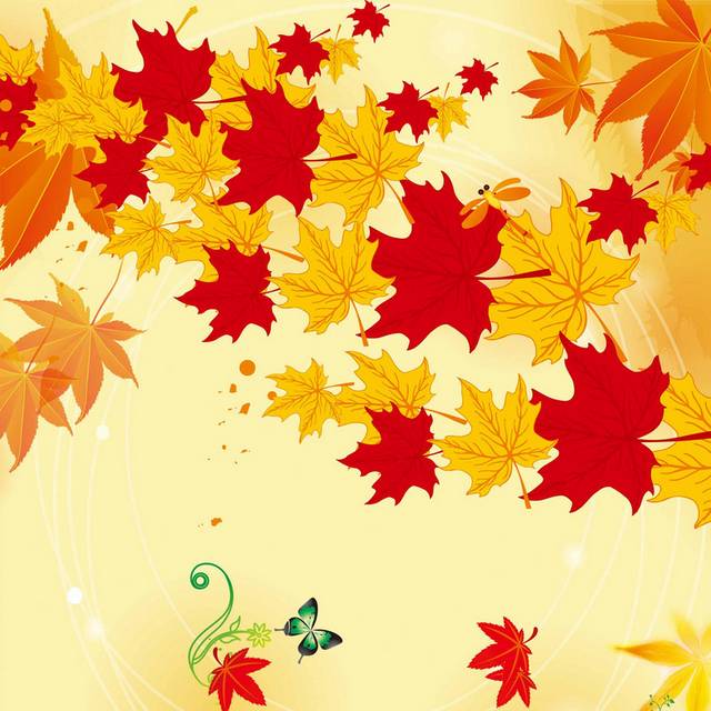 秋叶花朵与蝴蝶秋季素材