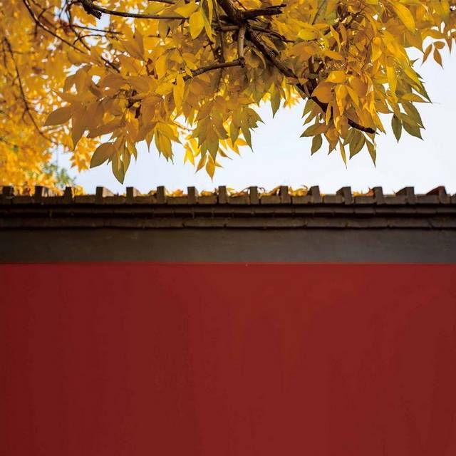 房顶上的秋叶秋季素材
