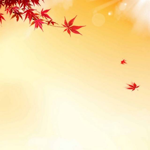 红色枫叶与书本秋季素材