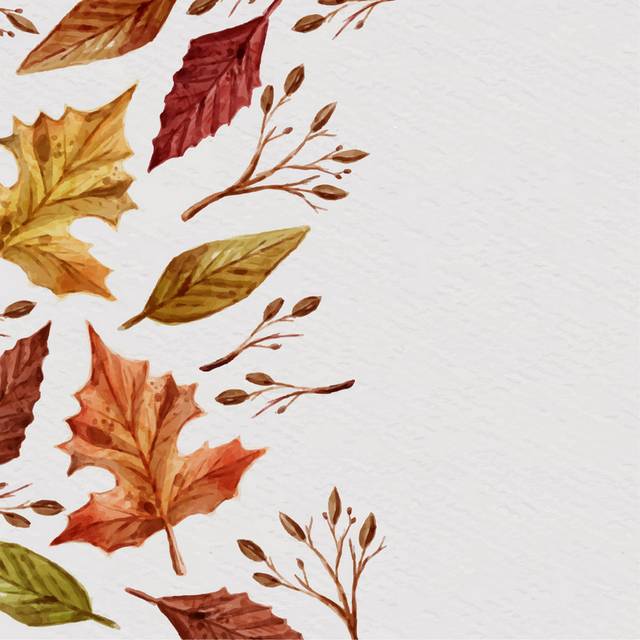 秋季美丽树叶手绘素材