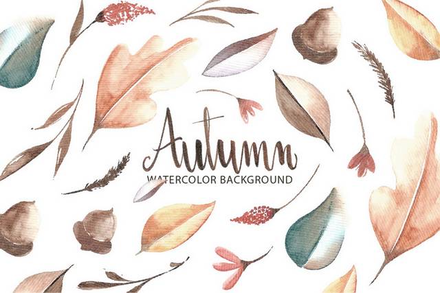 秋季手绘水彩树叶素材