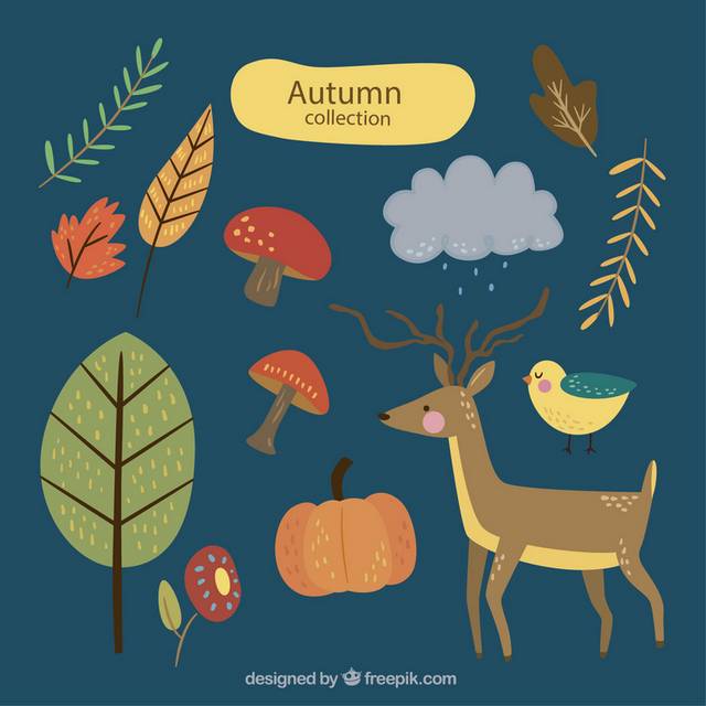 小动物果实秋季素材