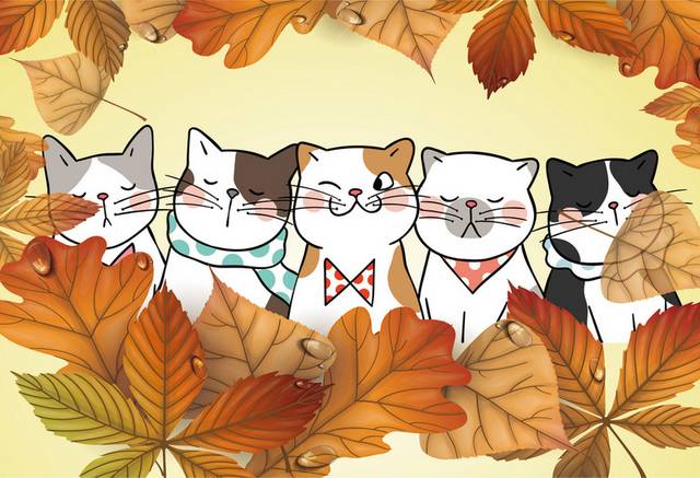 猫咪与落叶秋季素材