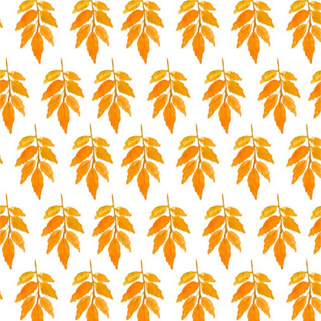 橘色树叶秋季素材