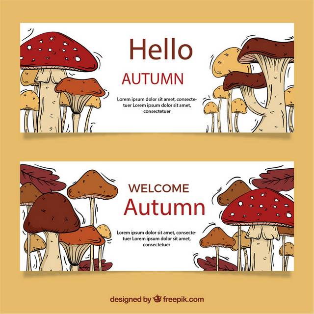 多彩蘑菇秋季素材