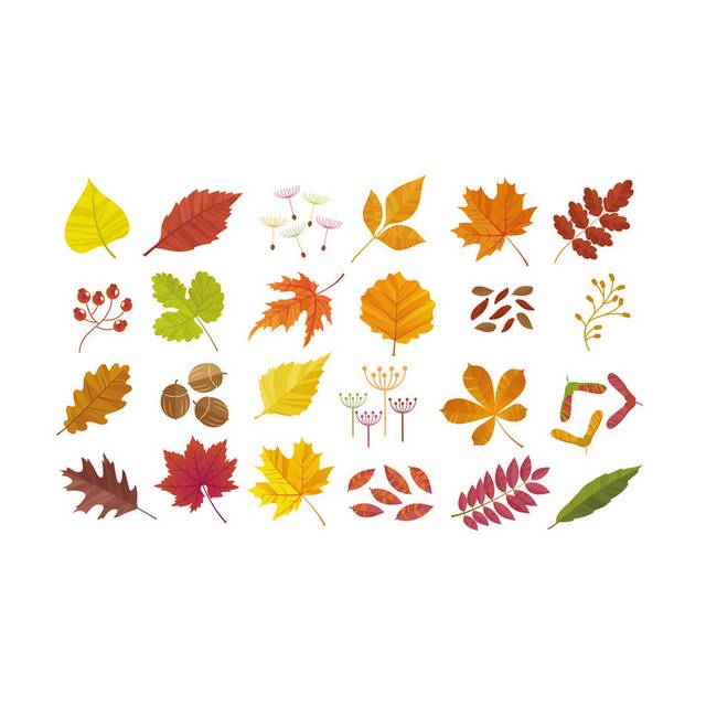 各种各样树叶秋季素材