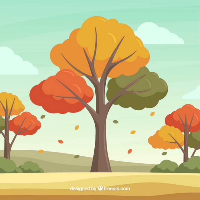 秋季精美创意树叶素材20