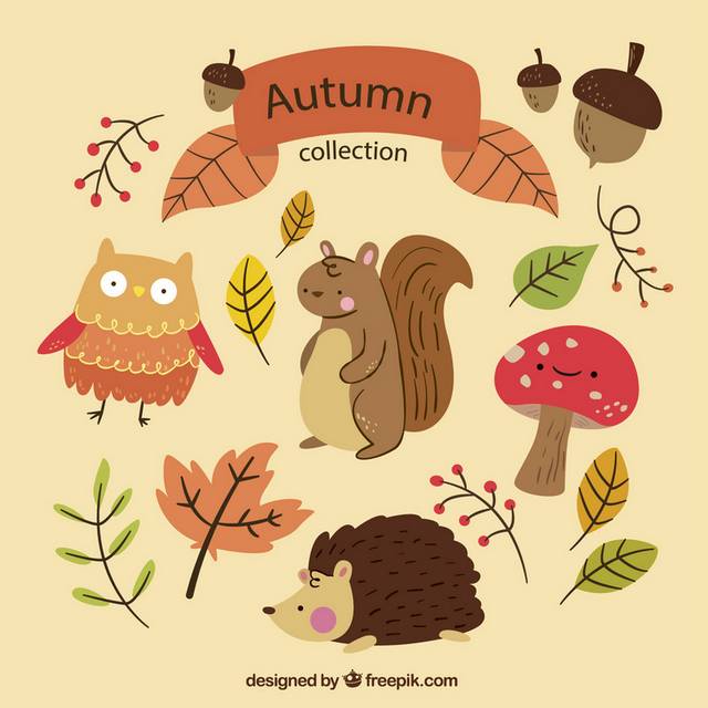 小动物树叶秋季素材