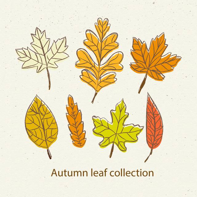 手绘树叶简约秋季素材