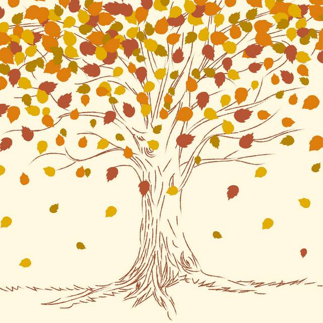 秋天树木秋季素材2