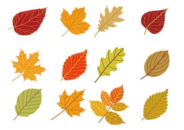 多彩树叶秋季素材1