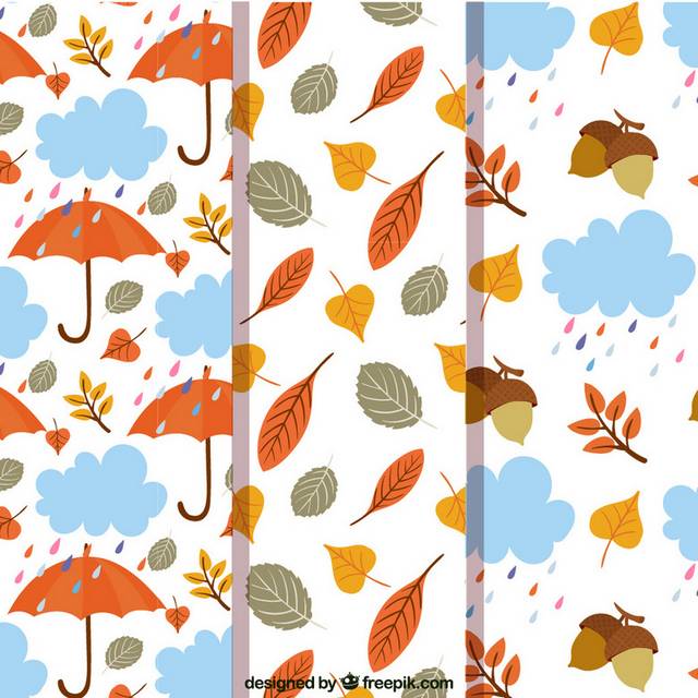 雨伞树叶秋季素材