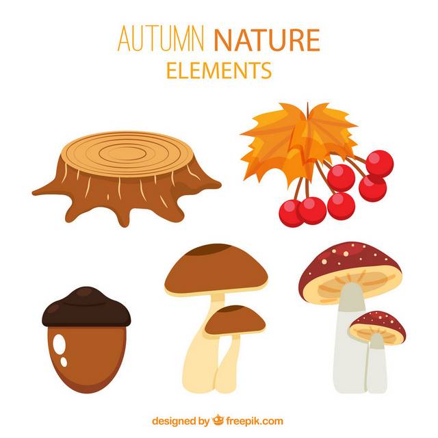 蘑菇树桩秋季素材