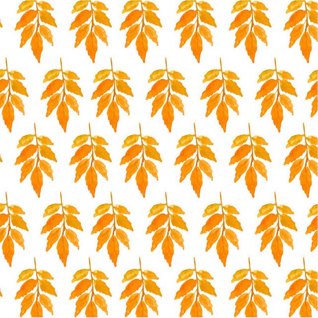 橘黄色小树叶简约秋天素材