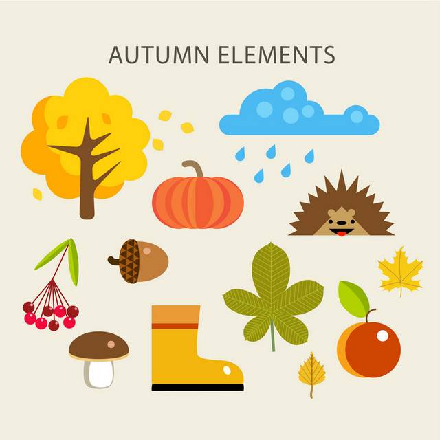 果实树叶刺猬秋季素材