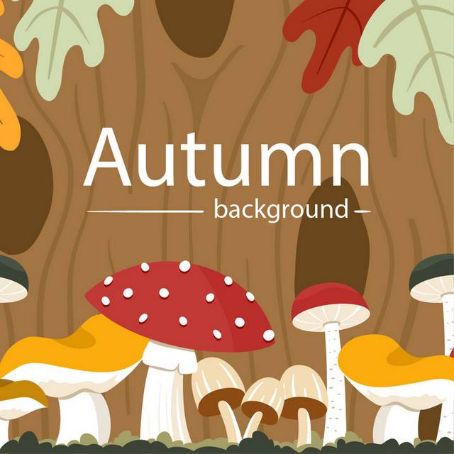 秋季蘑菇素材