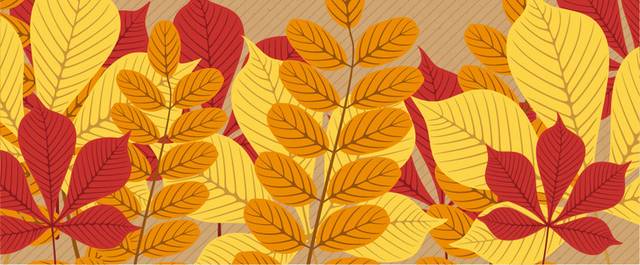 秋季金色红色树叶素材