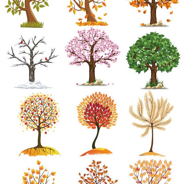 绚丽多彩树木秋季素材