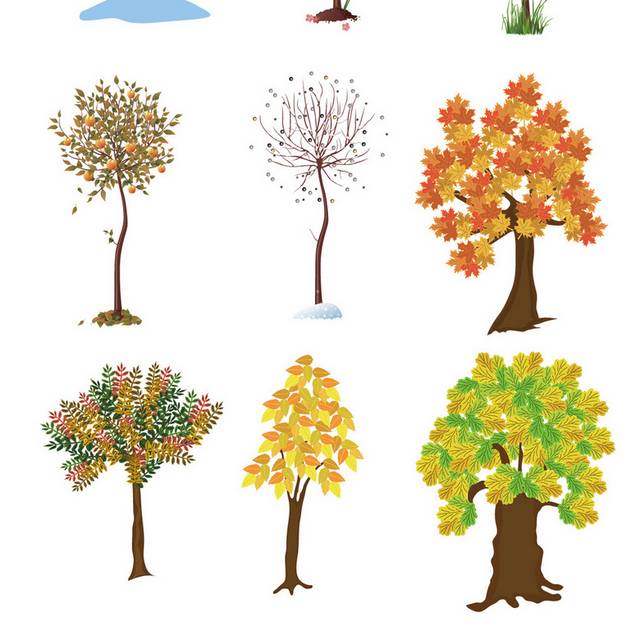 绚丽多彩树木秋季素材