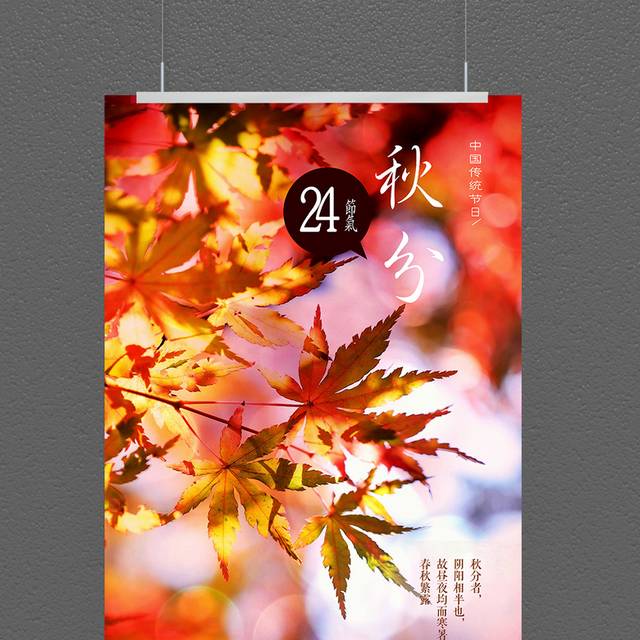 唯美枫叶秋分海报