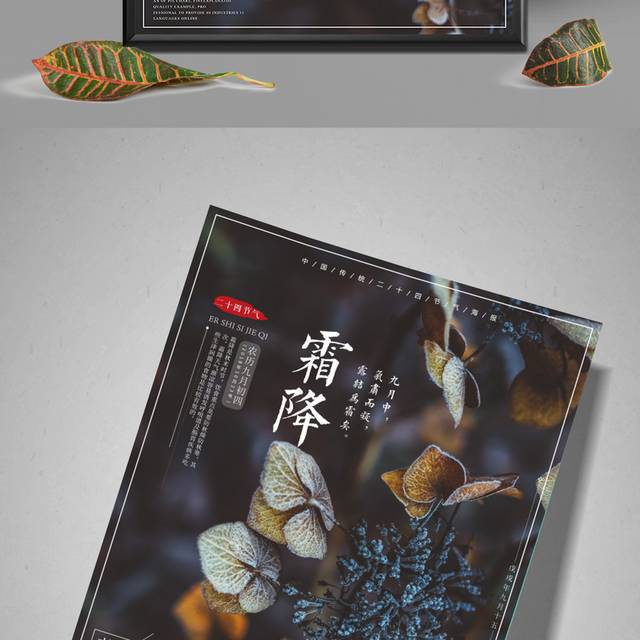 中国传统节气创意海报模板