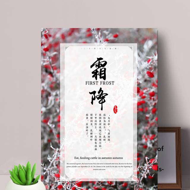 创意唯美霜降海报