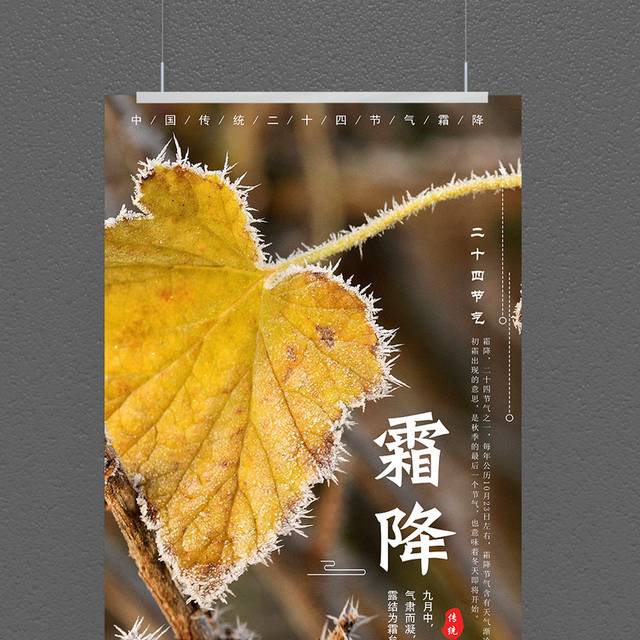 霜降叶子海报