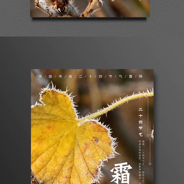 霜降叶子海报