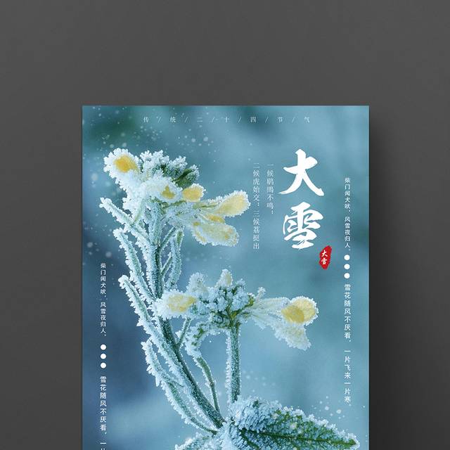 高清大雪节气海报设计