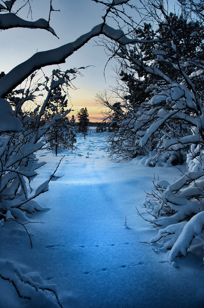 雪地图片大全背景图片