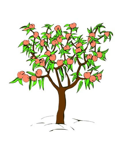 春天桃树卡通图片图片