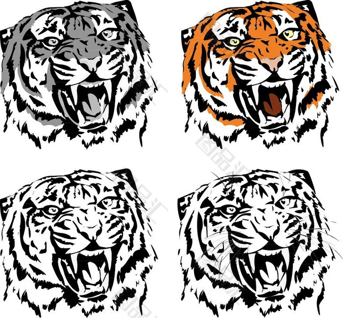 四只老虎图片 头像图片
