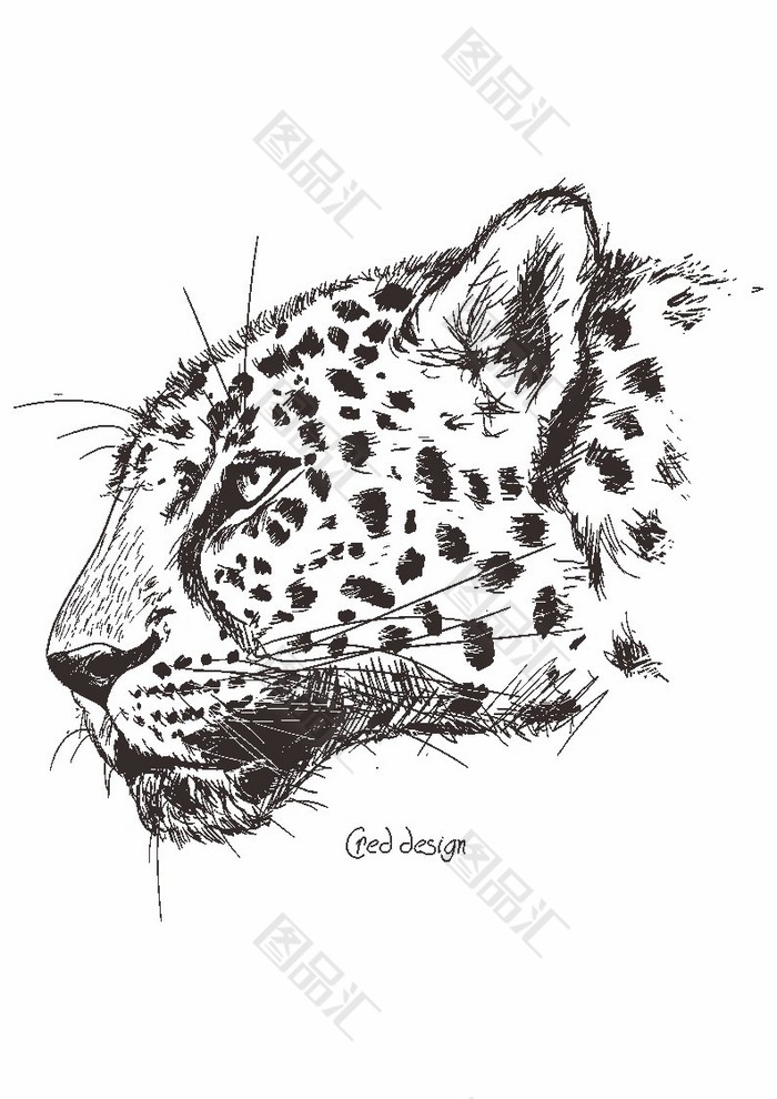 豹子的头怎么画 帅气图片