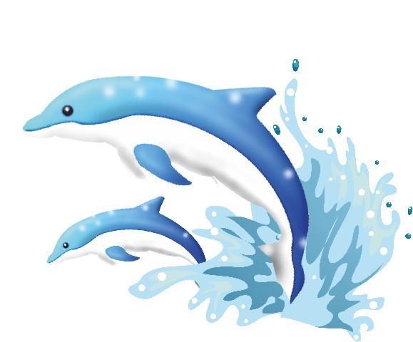 海豚跳出水面的图片画图片