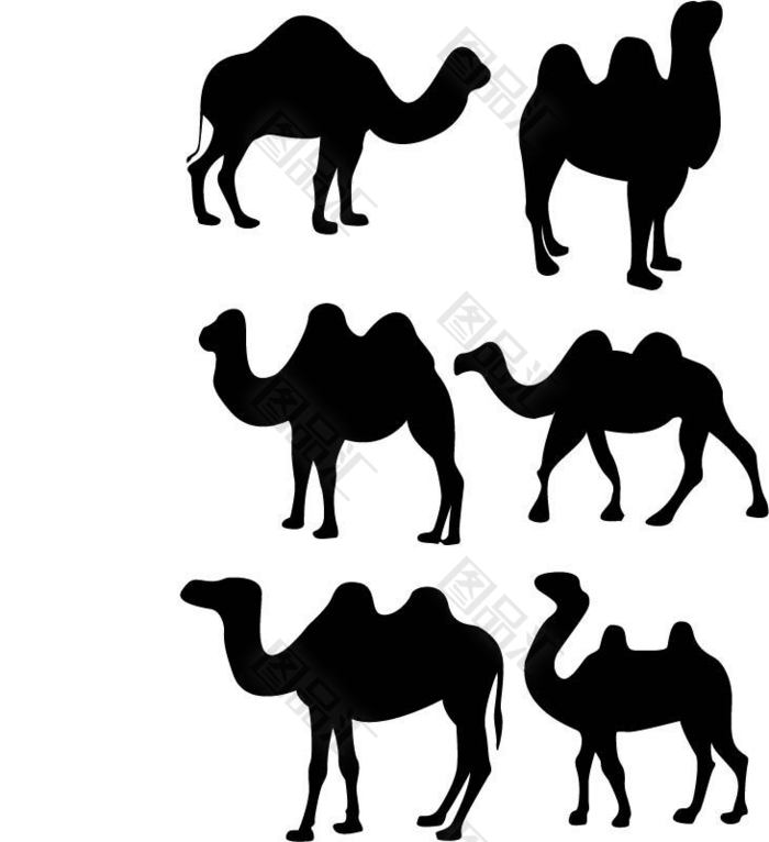 骆驼简笔画剪影图片