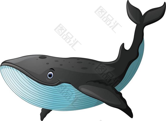 矢量卡通鲸鱼素材 图品汇