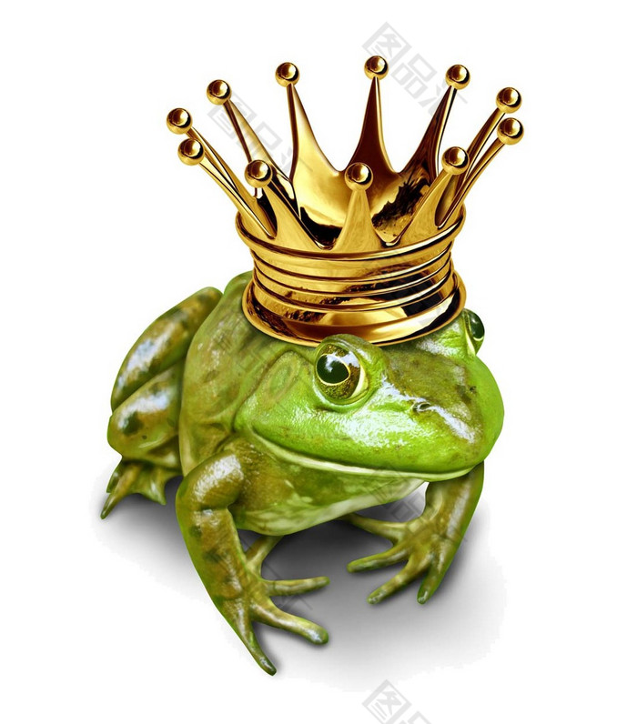 戴王冠的青蛙 图品汇