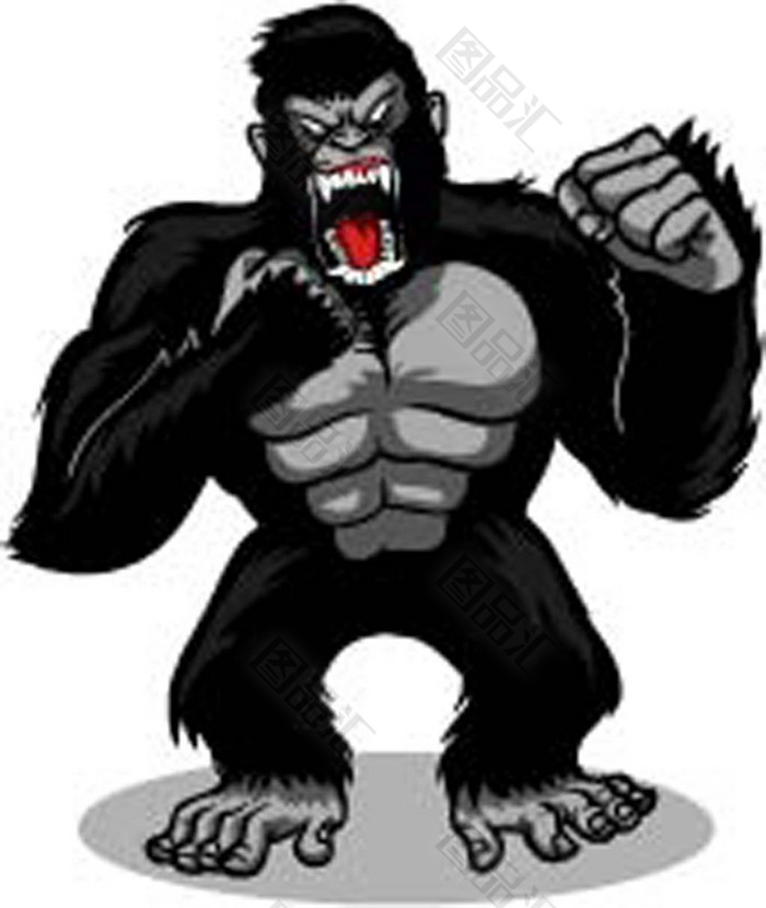 大猩猩愤怒捶胸口图片图片