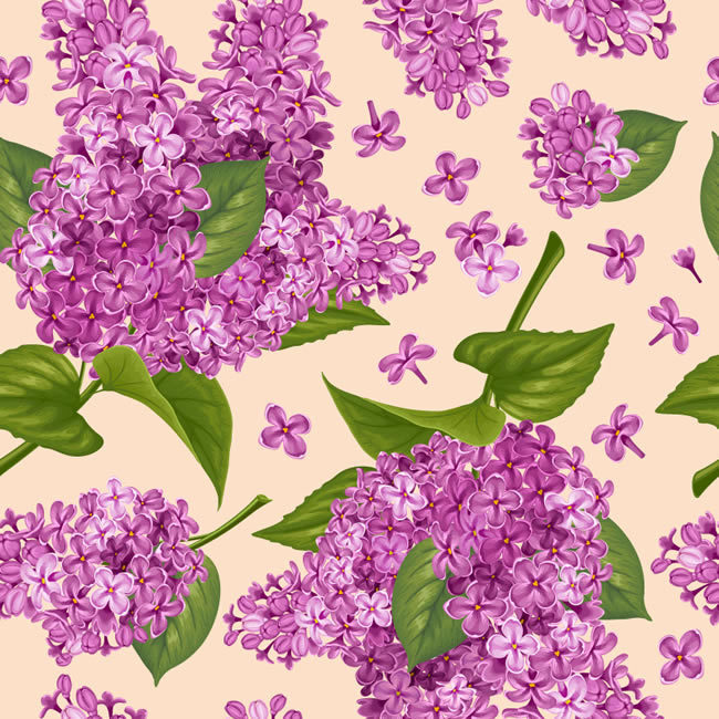 紫色丁香花背景矢量素材 图品汇