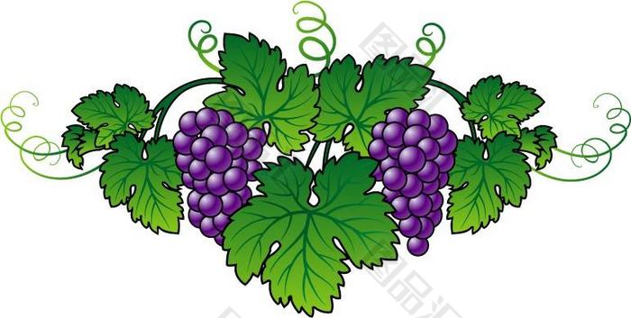 卡通两串紫色葡萄素材 图品汇