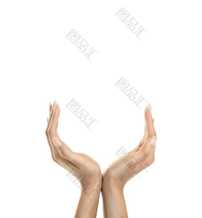 ˫